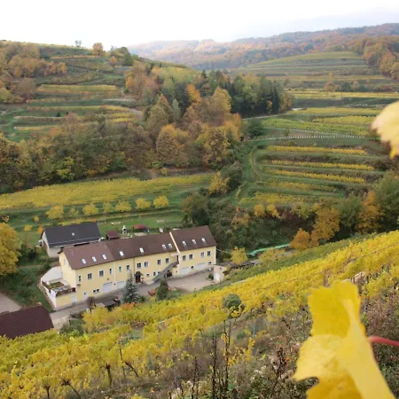 Weinbau Weidenauer *