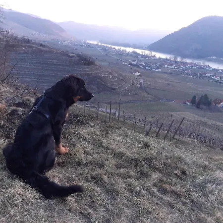 Weinbau Weidenauer *