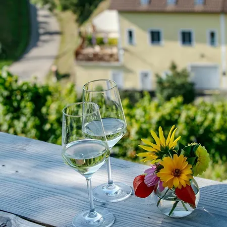 Weinbau Weidenauer Privatunterkunft