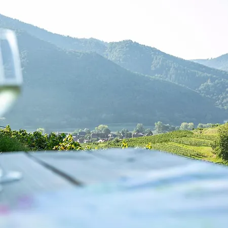 Weinbau Weidenauer Privat bolig *