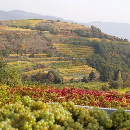 ホームステイ Weinbau Weidenauer *