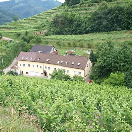Privatunterkunft Weinbau Weidenauer *