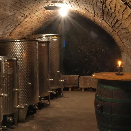 ホームステイ Weinbau Weidenauer Wösendorf