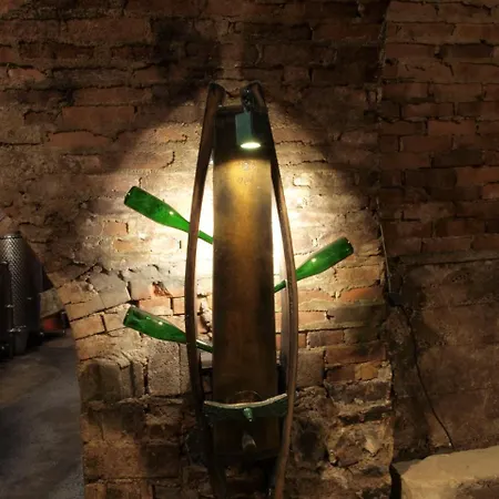 홈스테이 Weinbau Weidenauer *