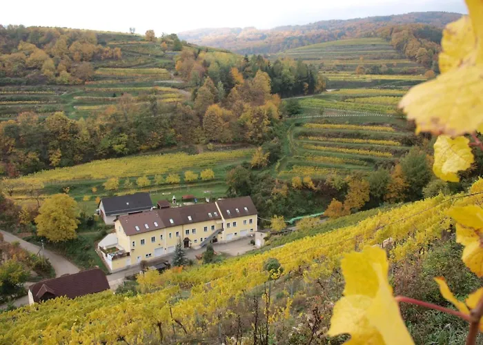 Weinbau Weidenauer *