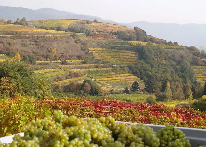 Habitación en casa particular Weinbau Weidenauer *